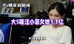 汪小菲吃瓜爆料视频大全,揭秘娱乐圈幕后真相